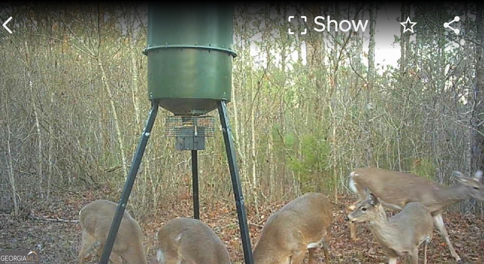 340 Noles Road Franklin - Photo 30