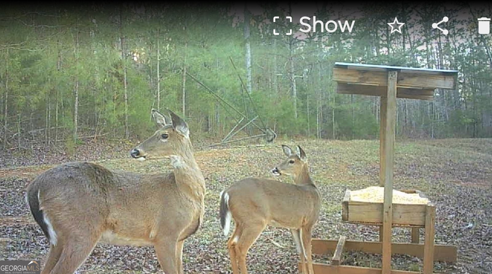 340 Noles Road Franklin - Photo 31