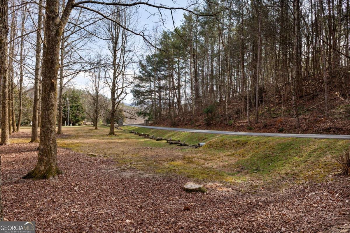 105 River Road Cherry Log - Photo 73