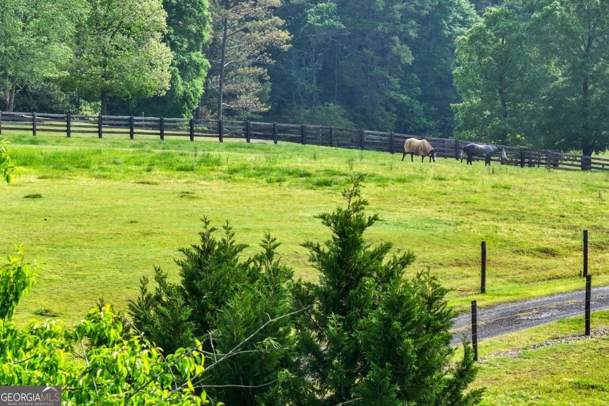 65 Maude White Road Kingston - Photo 83