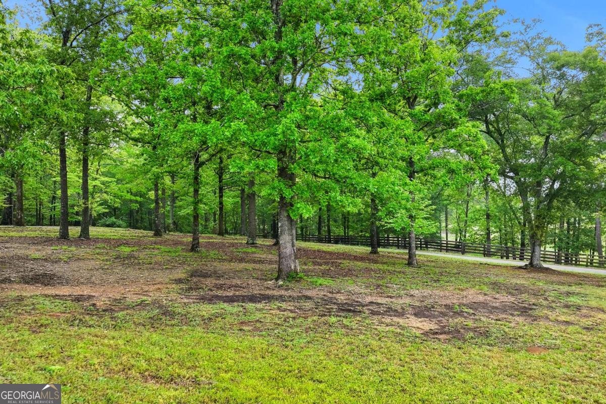 65 Maude White Road Kingston - Photo 84