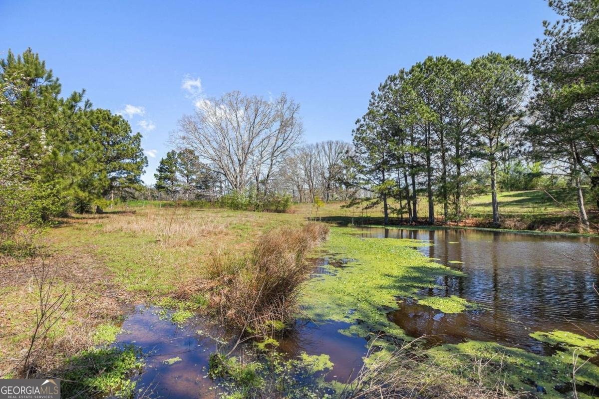 678 Hill City Road Sugar Valley - Photo 22