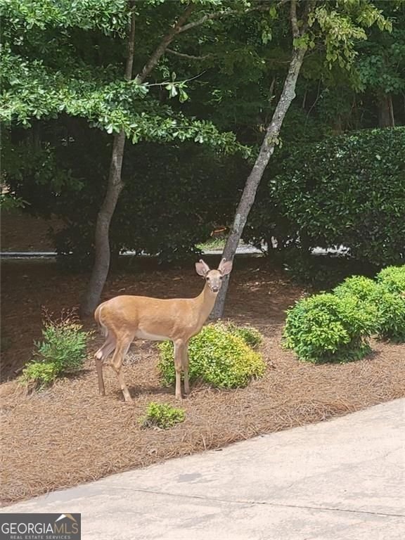 7270 Flowery Branch Road Cumming - Photo 59