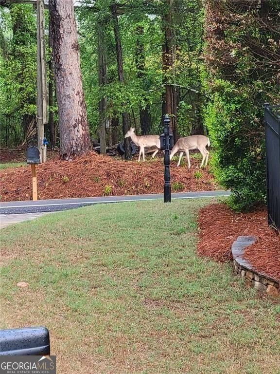 7270 Flowery Branch Road Cumming - Photo 60