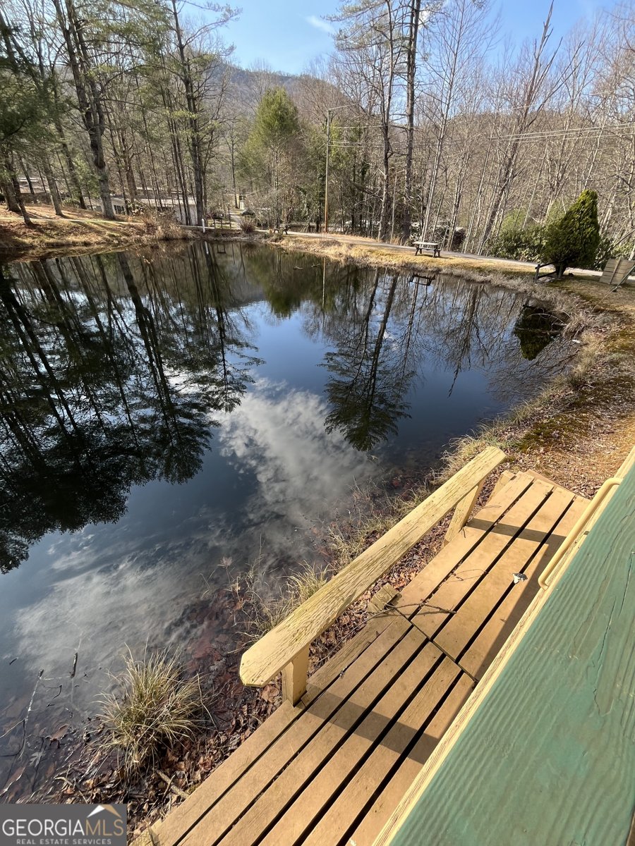 32 Nelson Lane Hiawassee - Photo 60