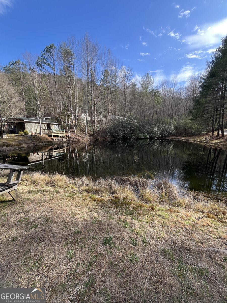 32 Nelson Lane Hiawassee - Photo 76