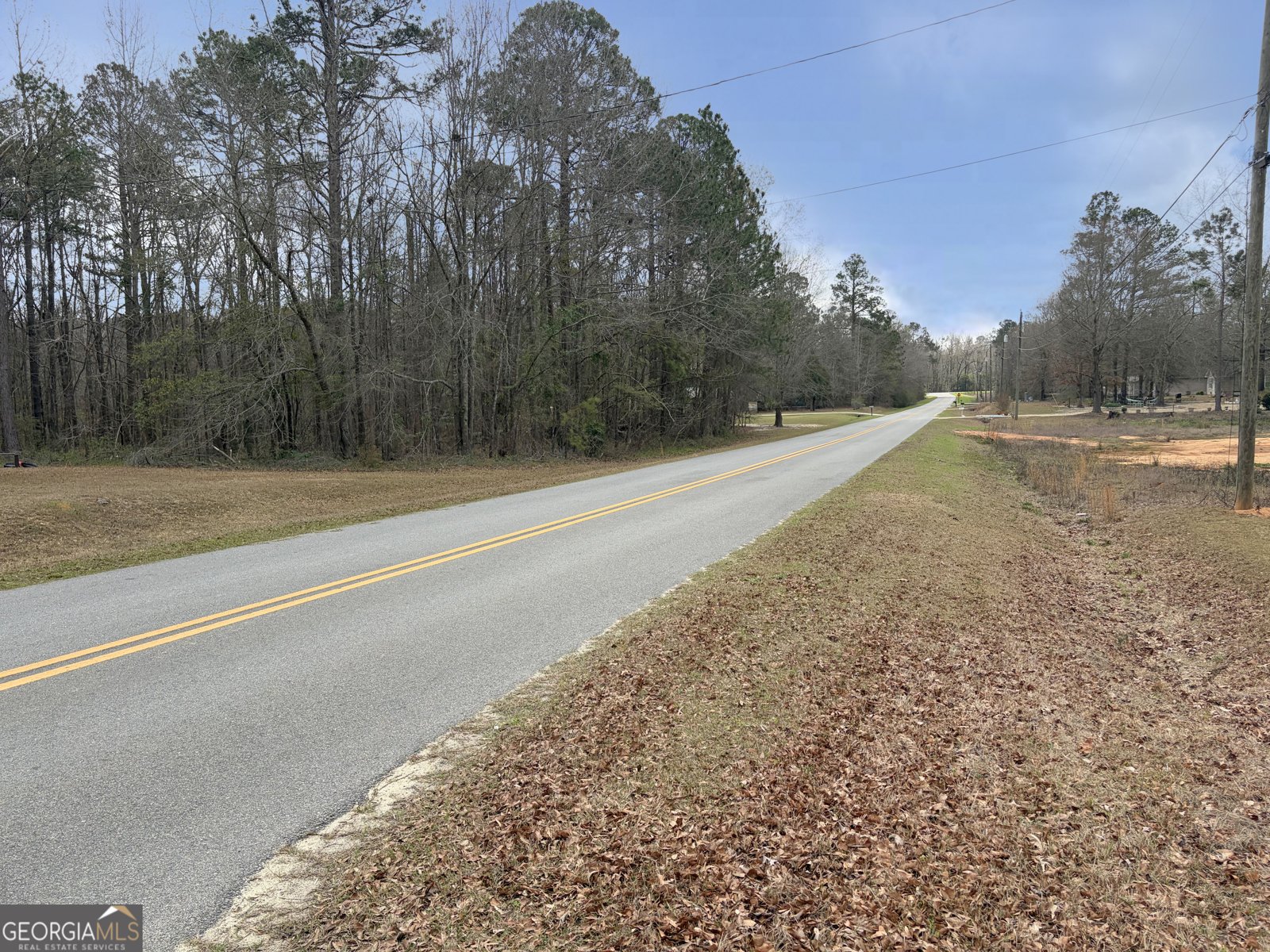 643 Pine Cone Road Dublin - Photo 26