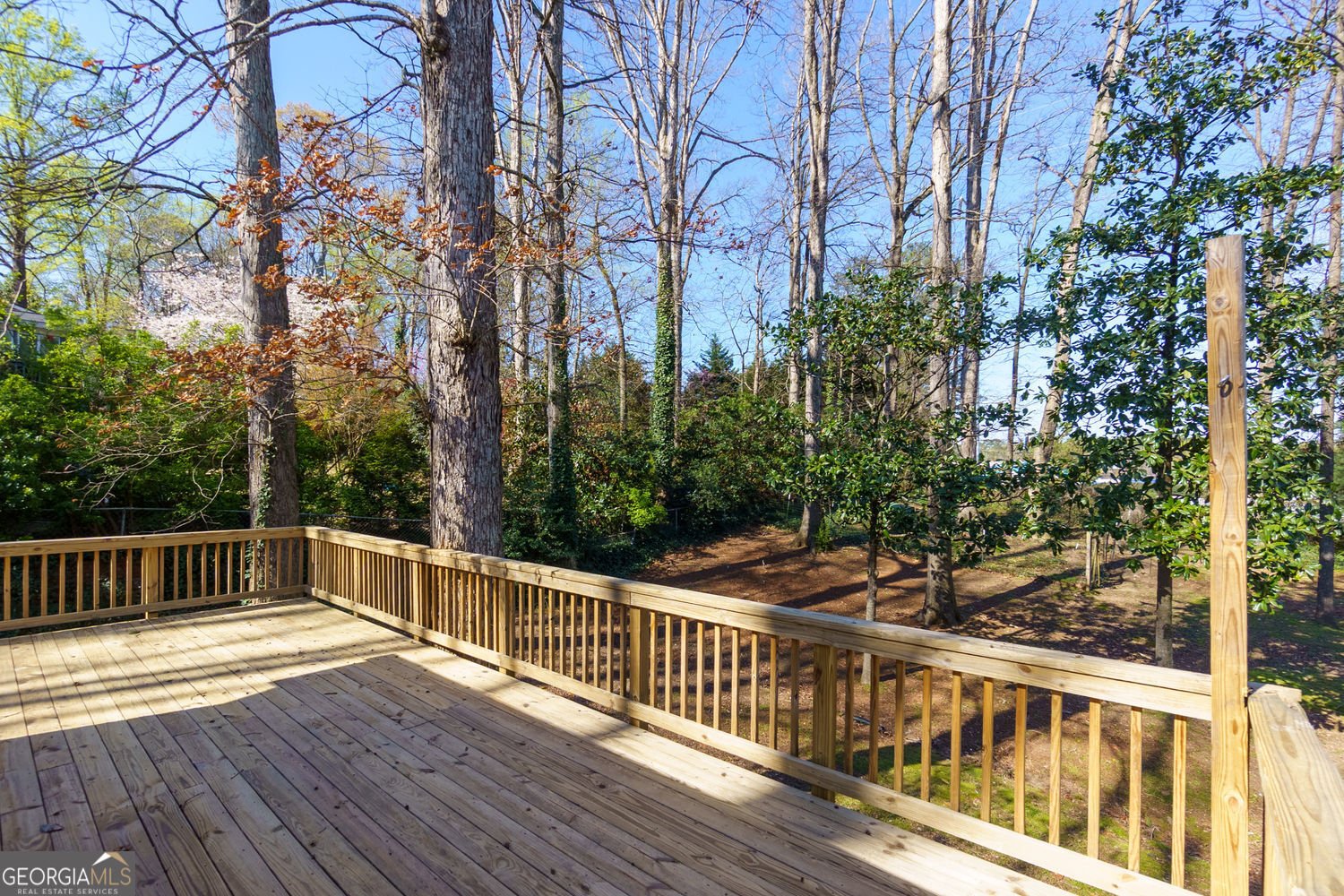 6570 Cherry Tree Lane Sandy Springs - Photo 38