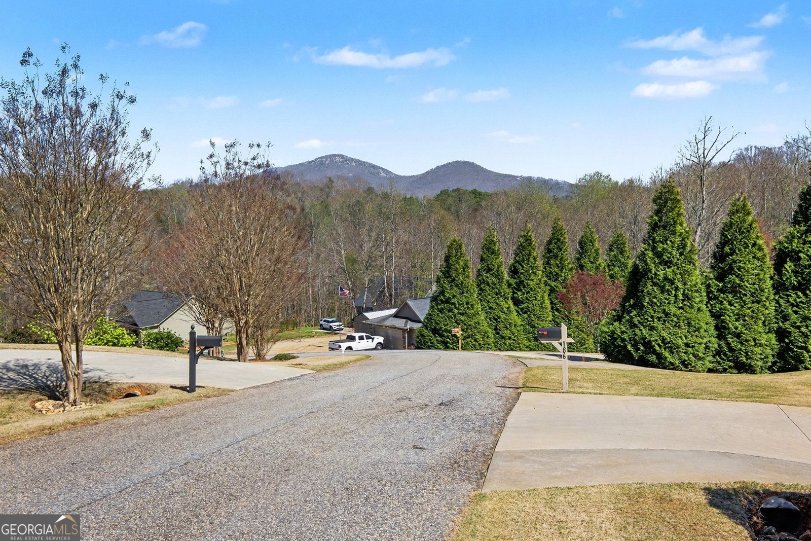 220 Tesnatee Landing Drive Cleveland - Photo 33