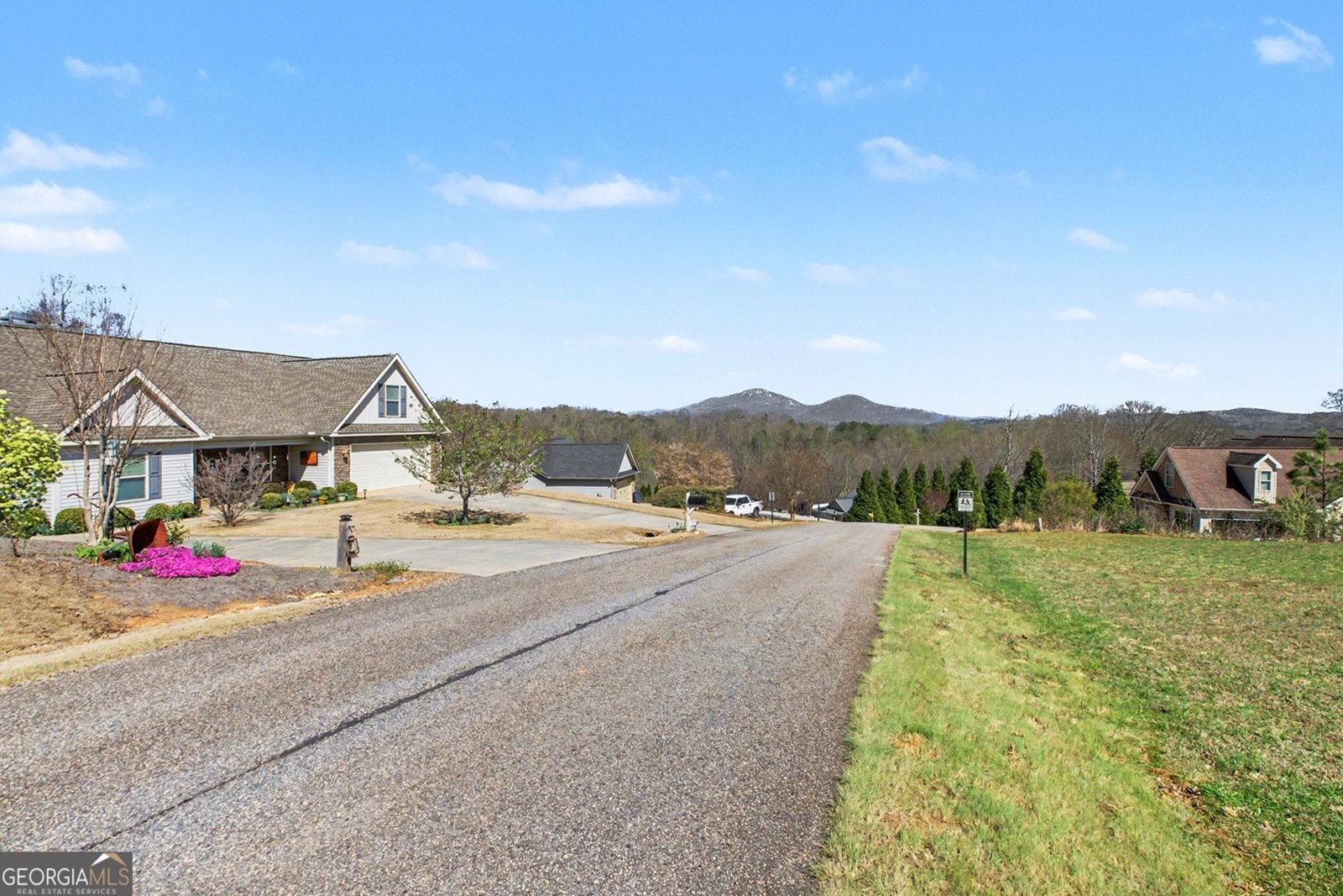 220 Tesnatee Landing Drive Cleveland - Photo 34