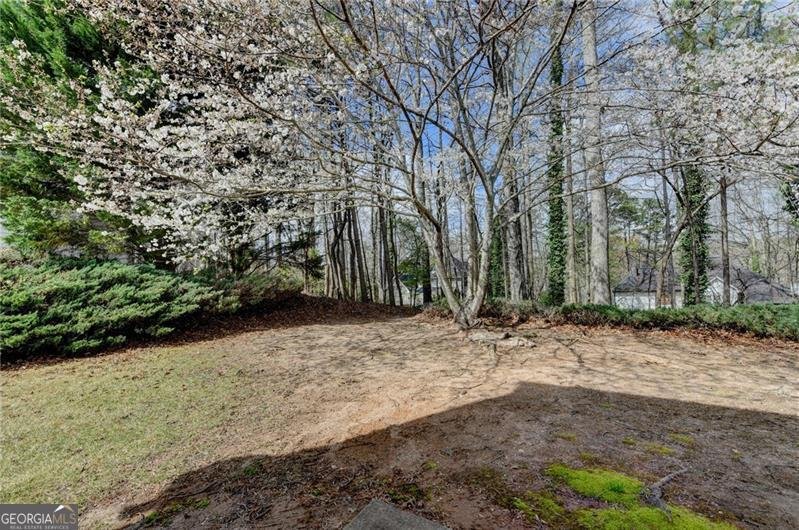 100 Hawnley Trace Suwanee - Photo 52