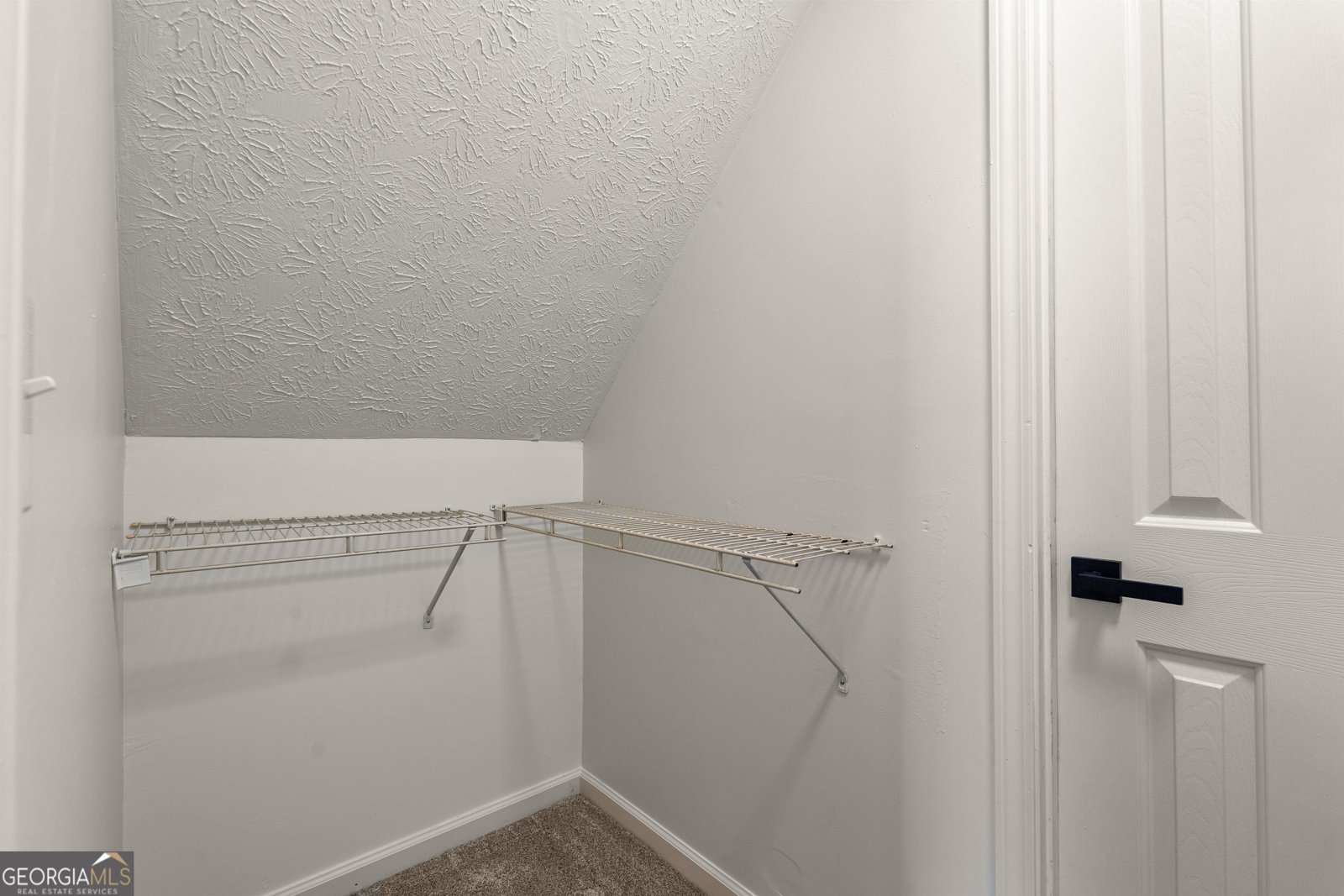 95 Rock Mill Trail Senoia - Photo 41