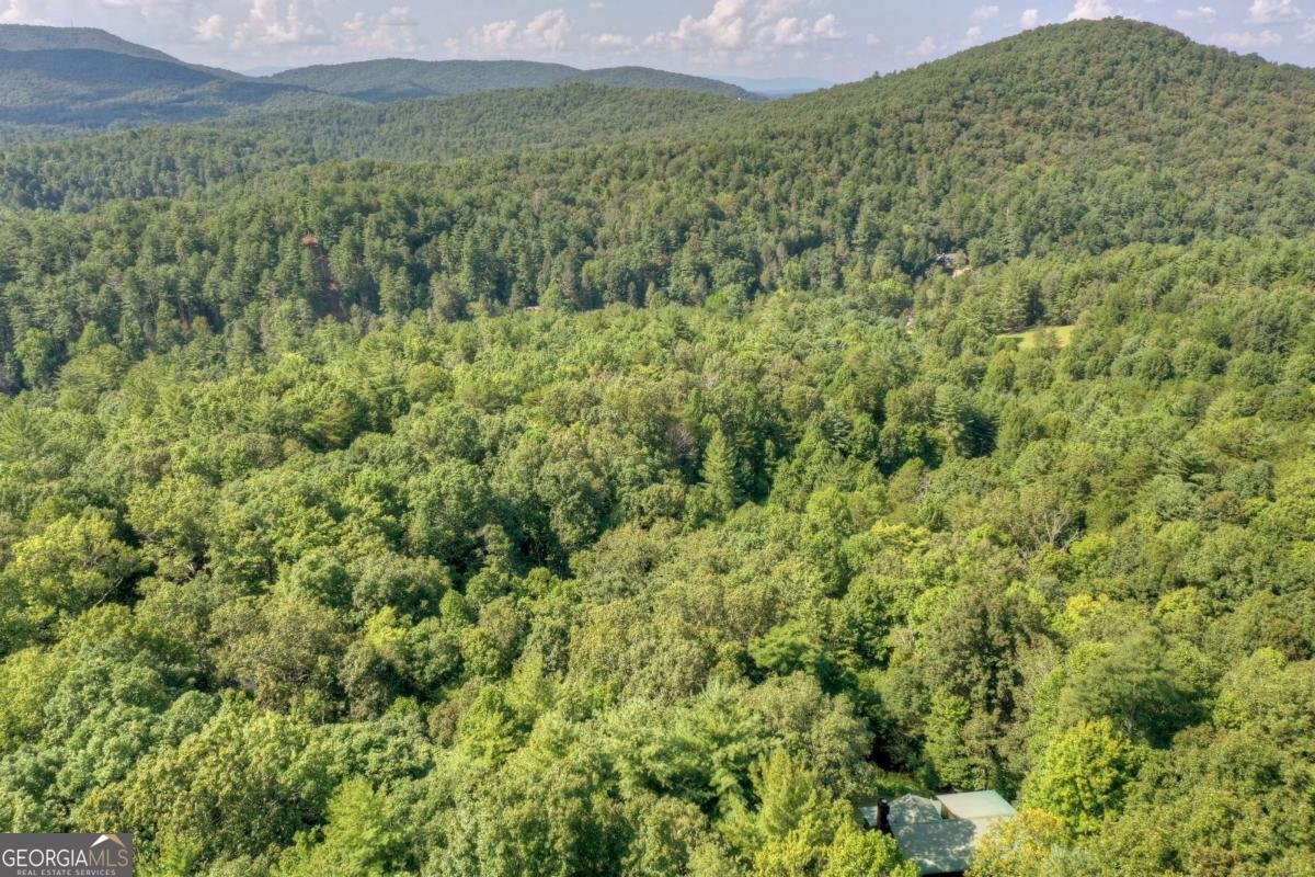 482 Old Aska Road Blue Ridge - Photo 53