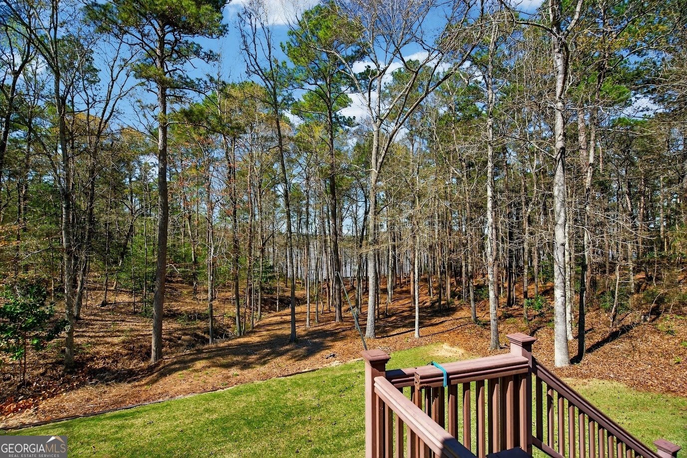 130 Sunny Point Circle LaGrange - Photo 33