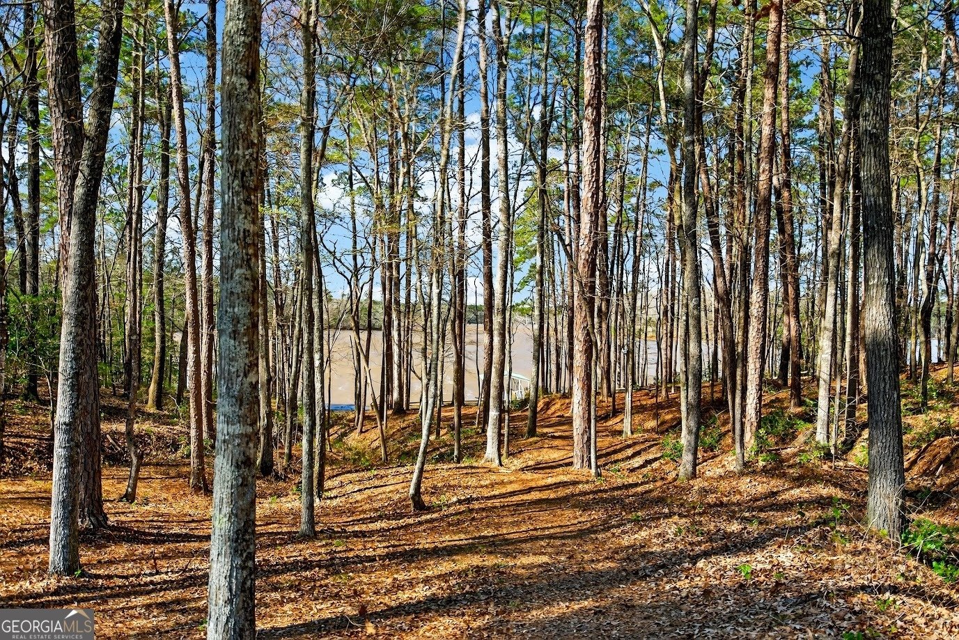 130 Sunny Point Circle LaGrange - Photo 35