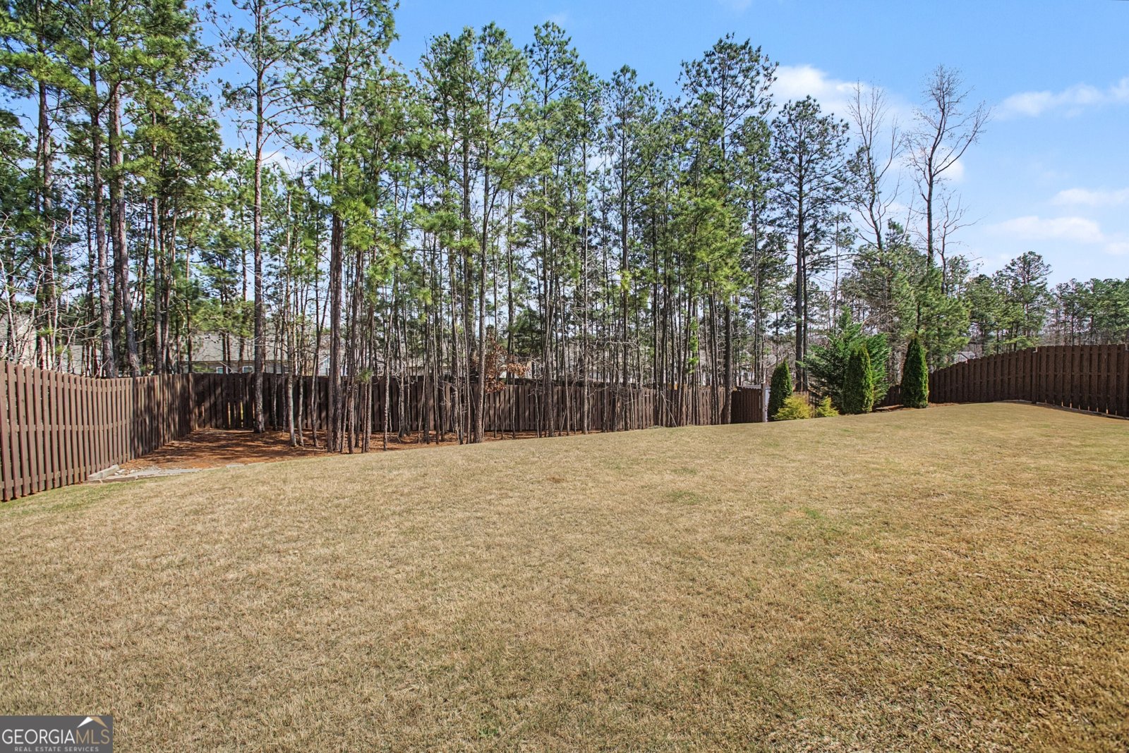 173 Whistling Drive Jefferson - Photo 49