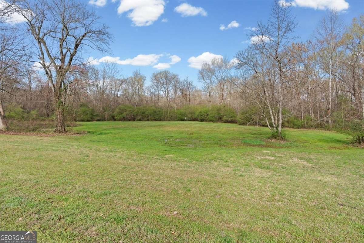 1828 Austin Bridge Road Douglasville - Photo 81