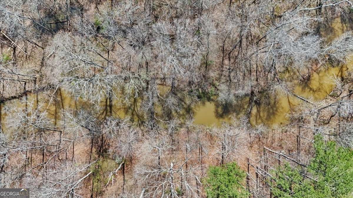 1828 Austin Bridge Road Douglasville - Photo 91