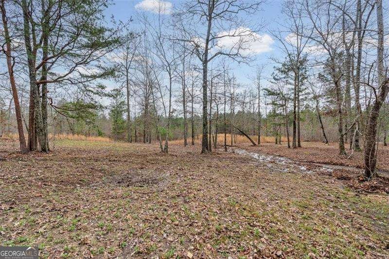 35 Prayer Trail Aragon - Photo 49