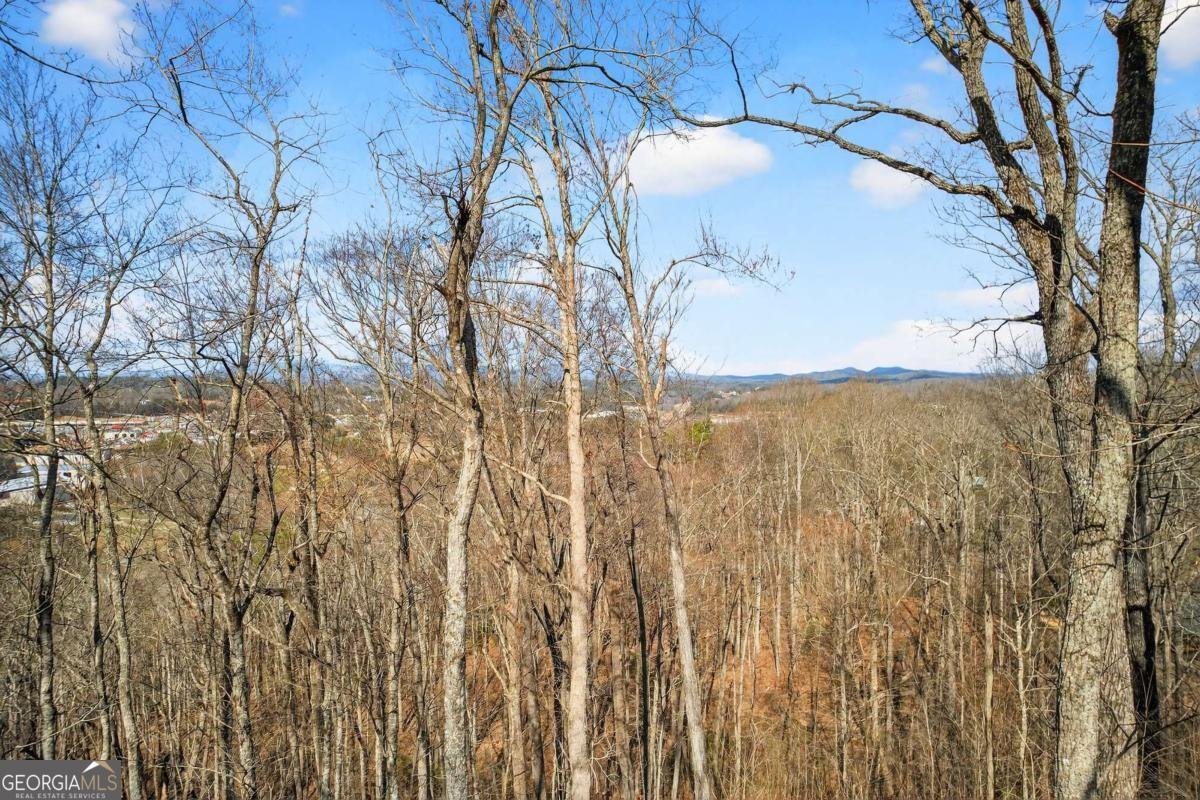 225 Eagles Nest Lane Blue Ridge - Photo 11