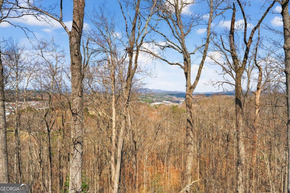 225 Eagles Nest Lane Blue Ridge - Photo 12