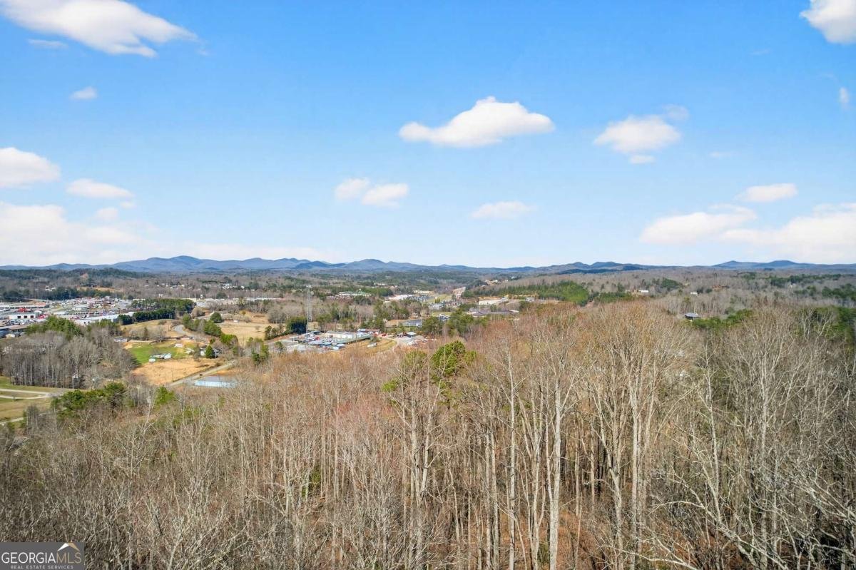 225 Eagles Nest Lane Blue Ridge - Photo 13