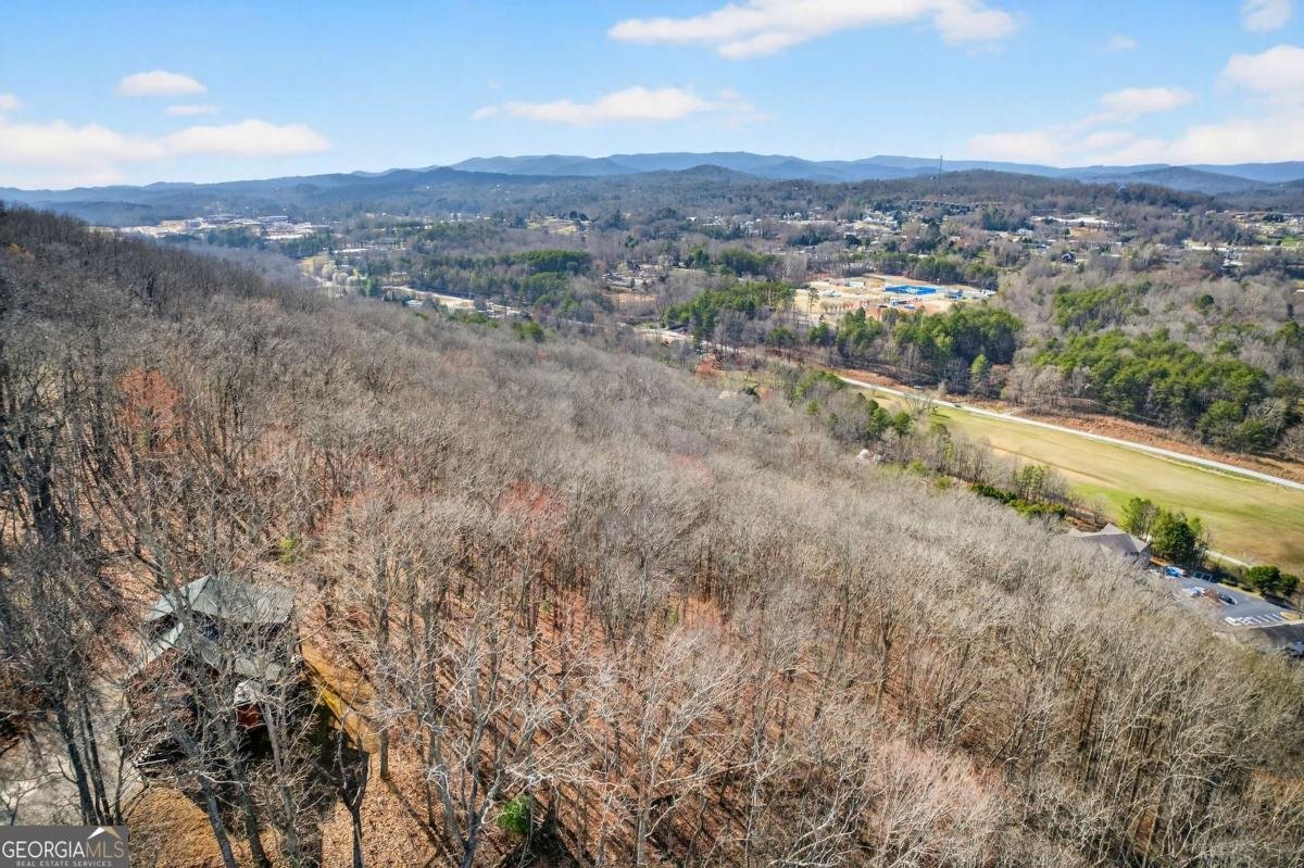 225 Eagles Nest Lane Blue Ridge - Photo 14