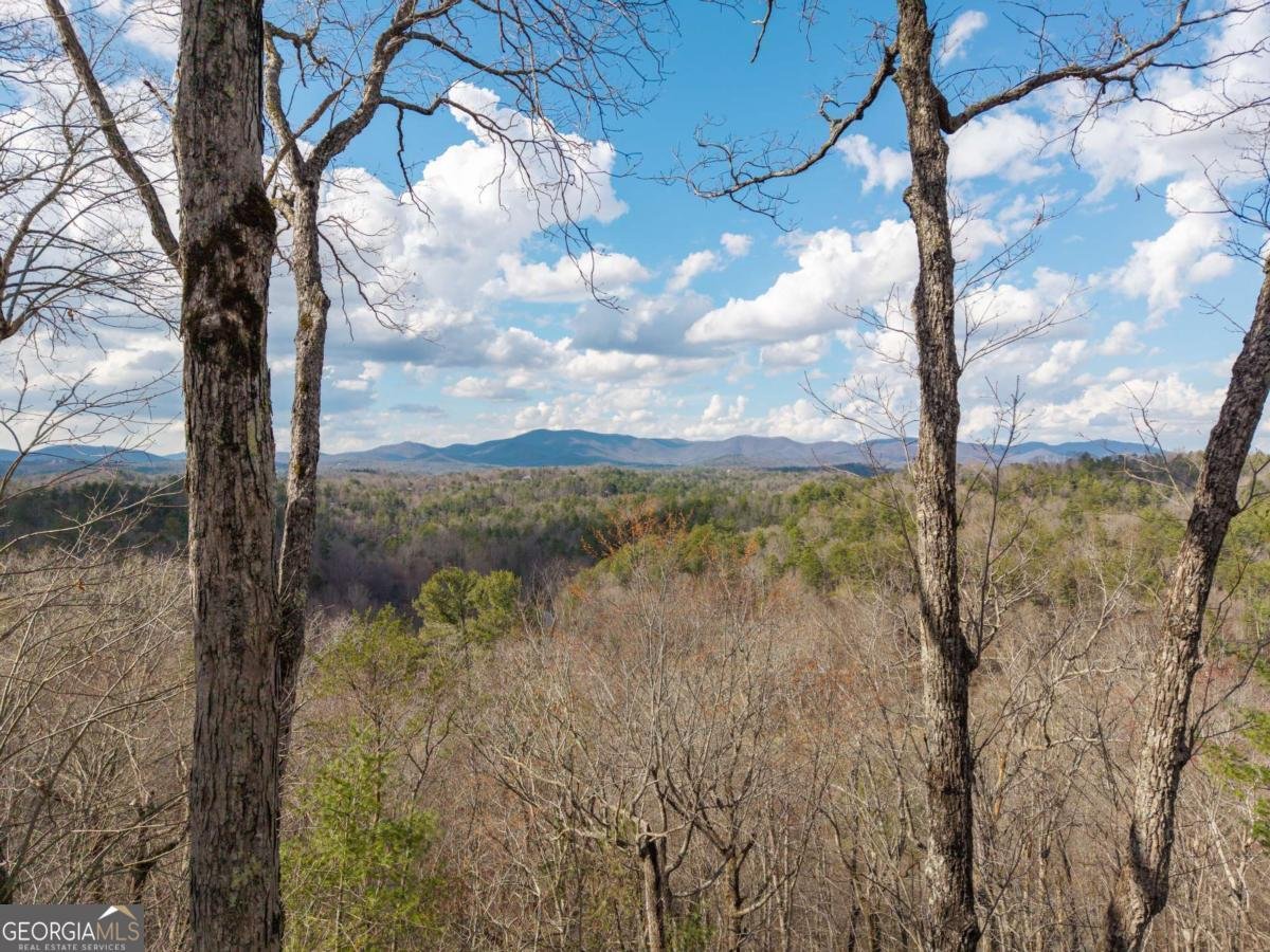 465 Briar Creek Drive Ellijay - Photo 66