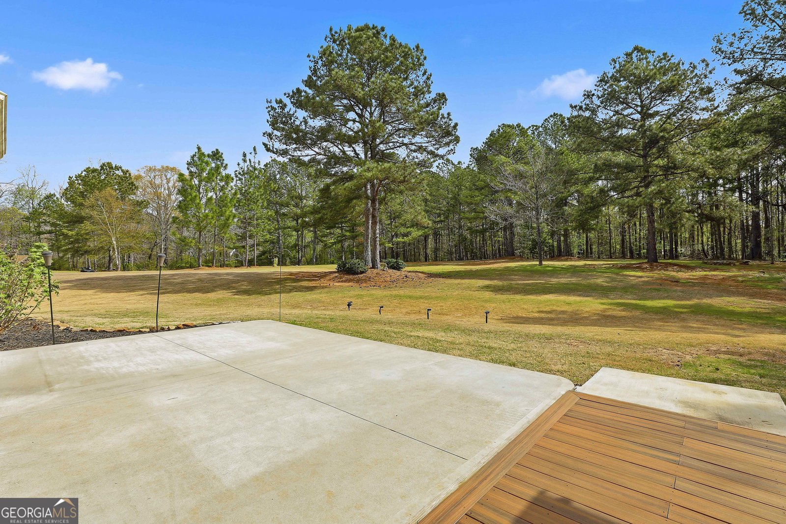 74 Fieldstone Farms Drive Senoia - Photo 43