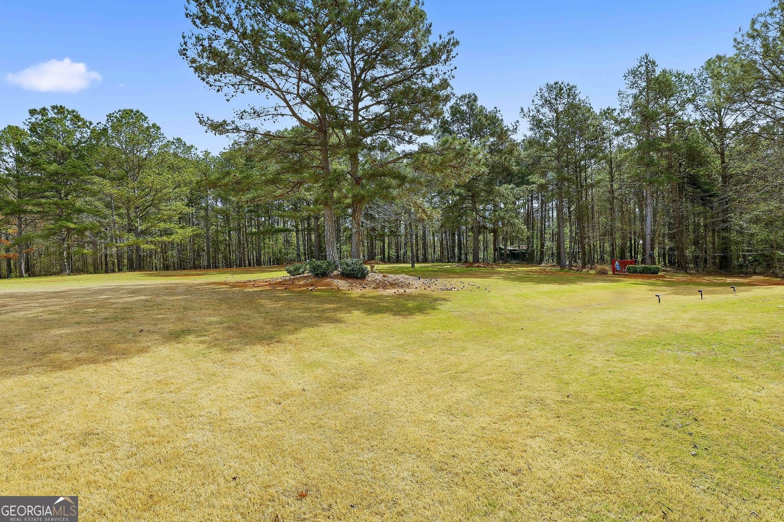 74 Fieldstone Farms Drive Senoia - Photo 44