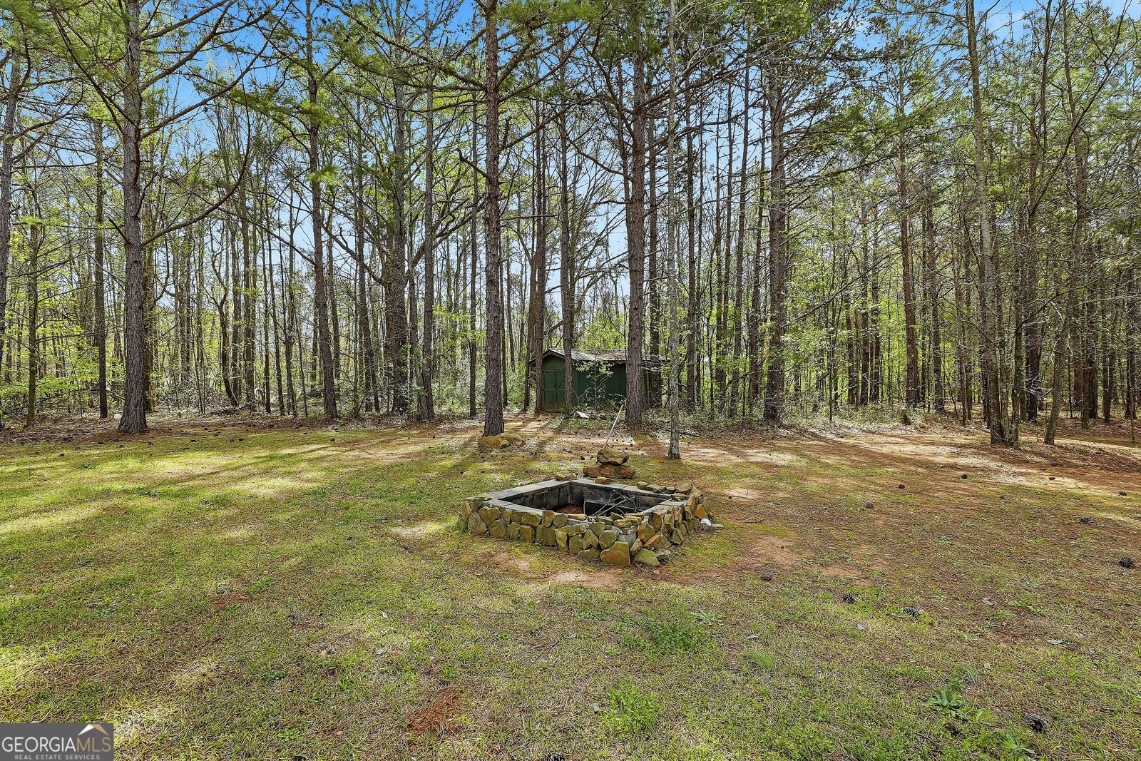 74 Fieldstone Farms Drive Senoia - Photo 47