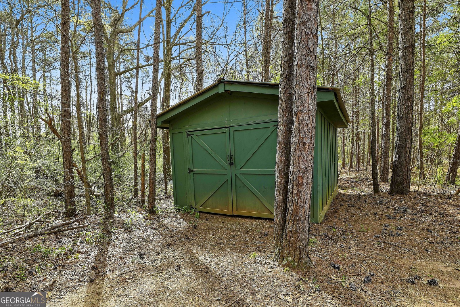 74 Fieldstone Farms Drive Senoia - Photo 48