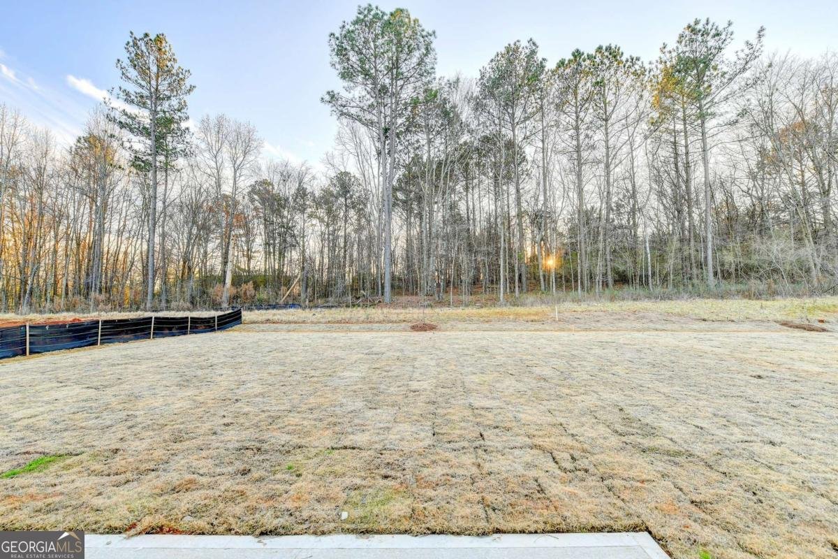 326 Golden Eagle Parkway Braselton - Photo 42