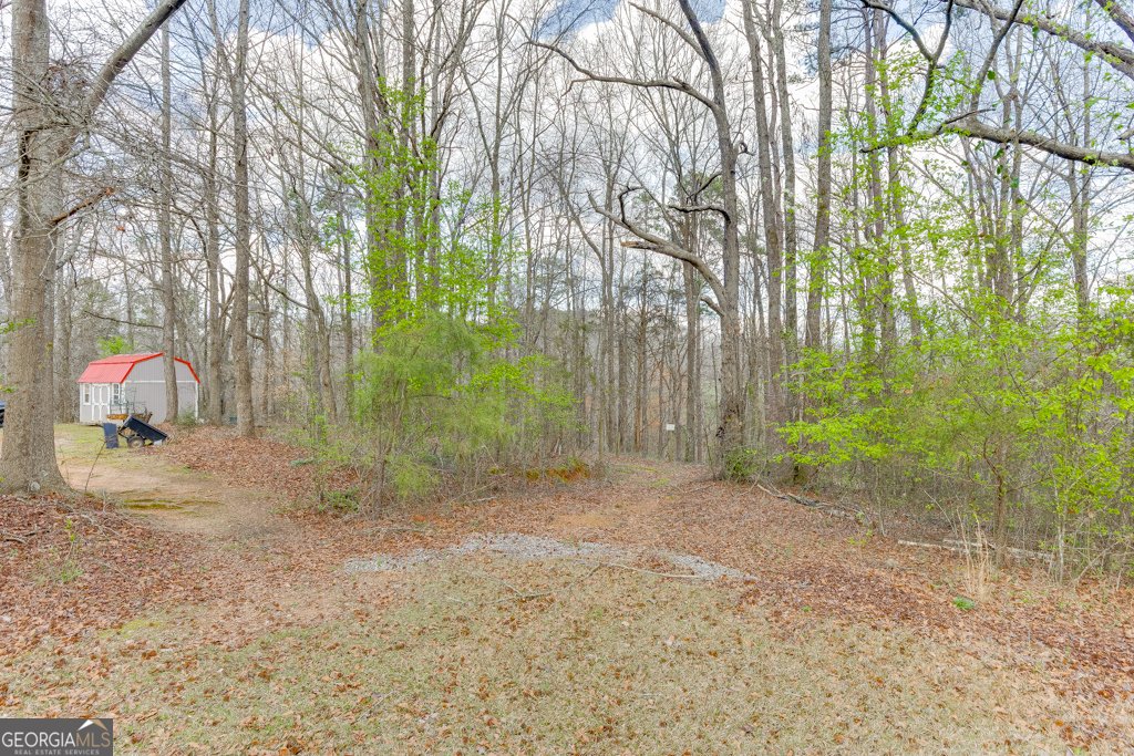 722 Charlie Morris Road Colbert - Photo 62