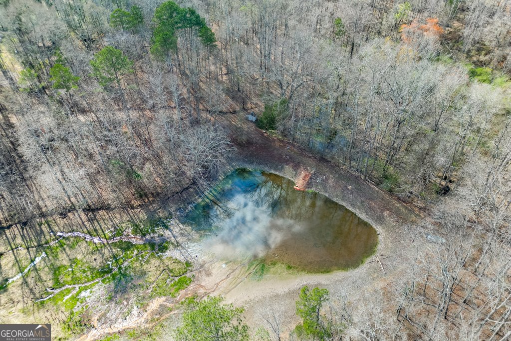 722 Charlie Morris Road Colbert - Photo 69