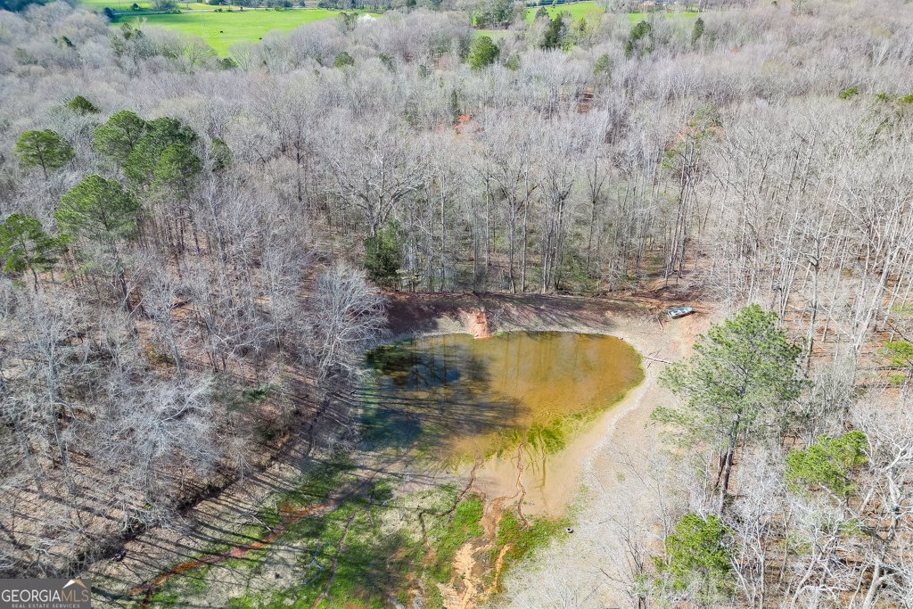 722 Charlie Morris Road Colbert - Photo 71