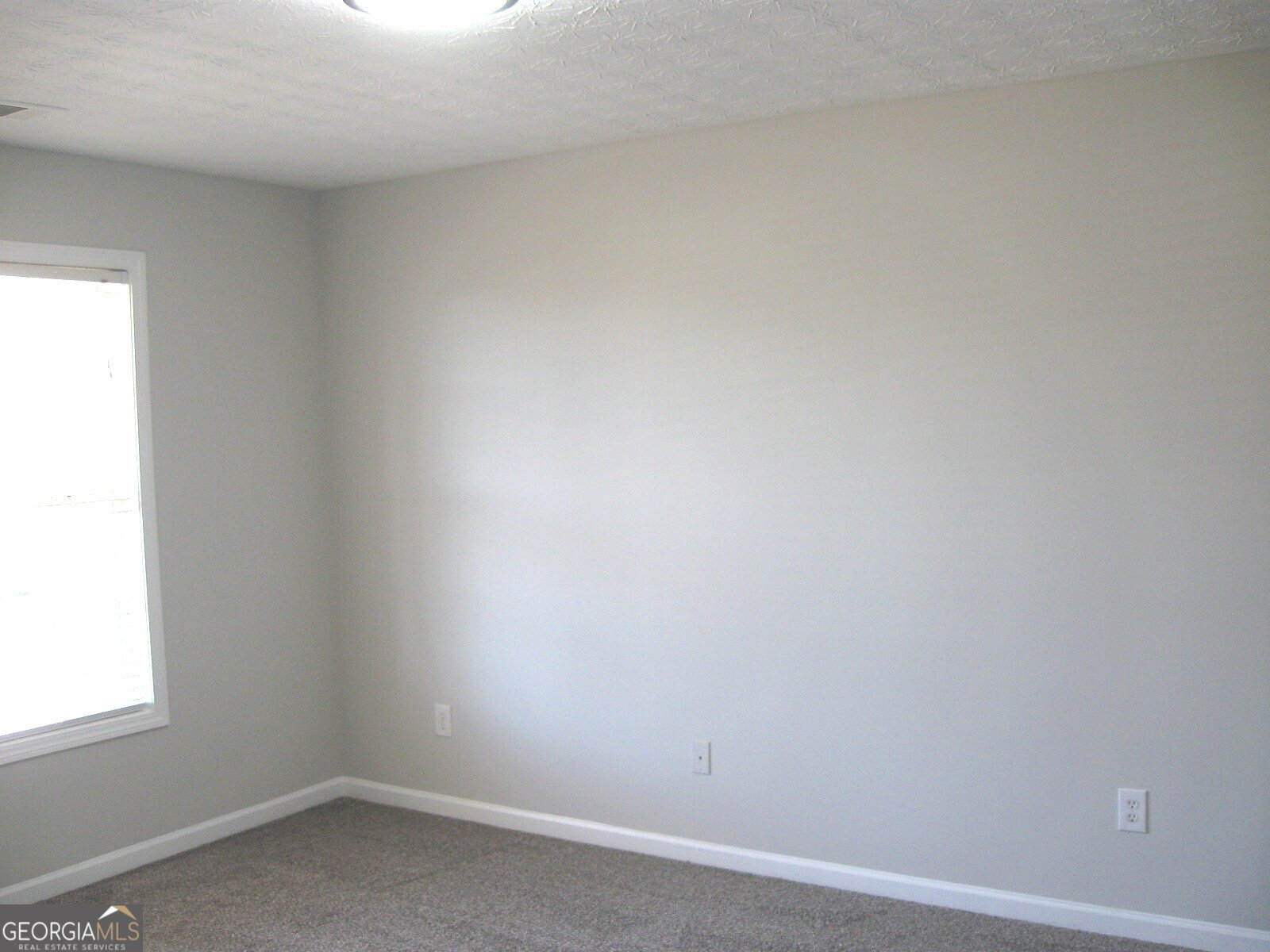 2225 Blue Ridge Lane Conyers - Photo 18