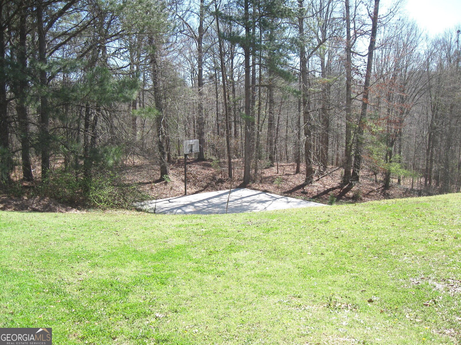 2225 Blue Ridge Lane Conyers - Photo 35