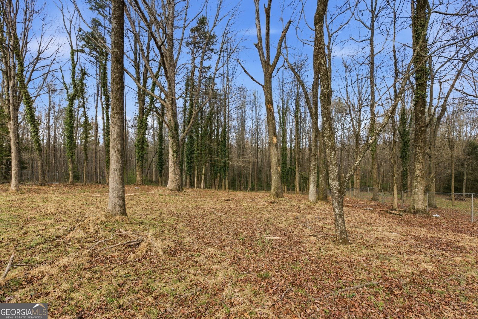 241 Tommy Irvin Road Mount Airy - Photo 34