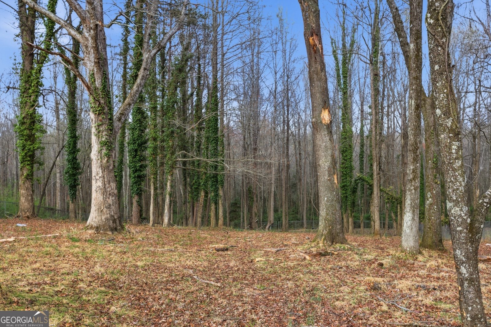 241 Tommy Irvin Road Mount Airy - Photo 35