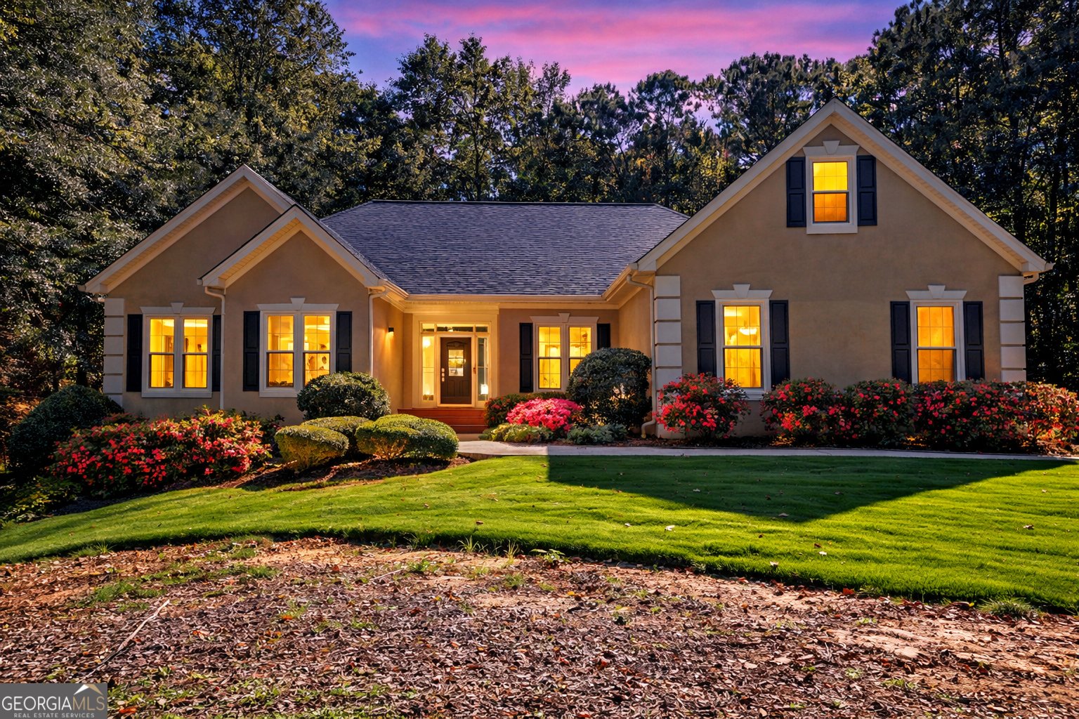 217 Windermere Circle Newnan - Photo 1