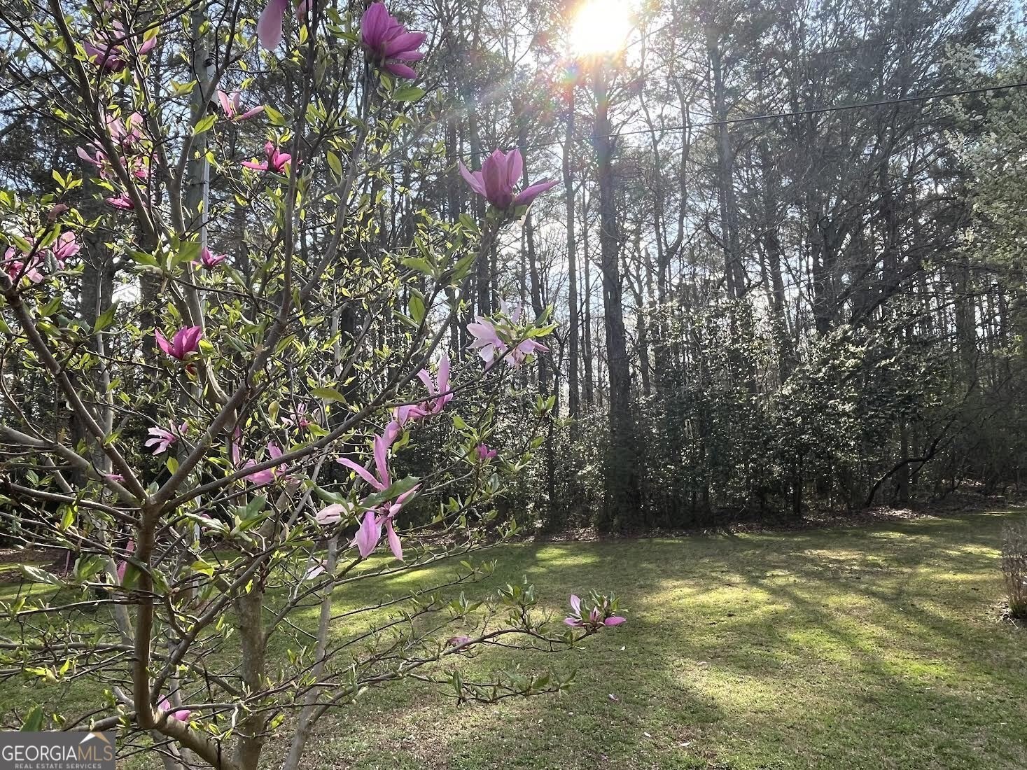 30 Round Lake Road Griffin - Photo 35