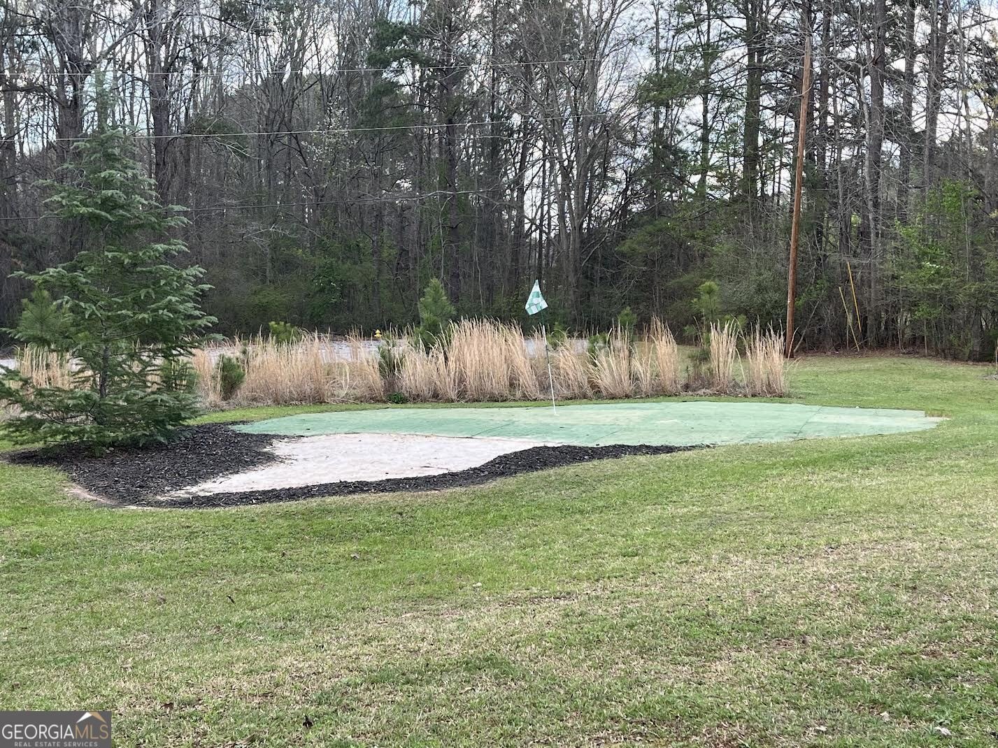 30 Round Lake Road Griffin - Photo 9