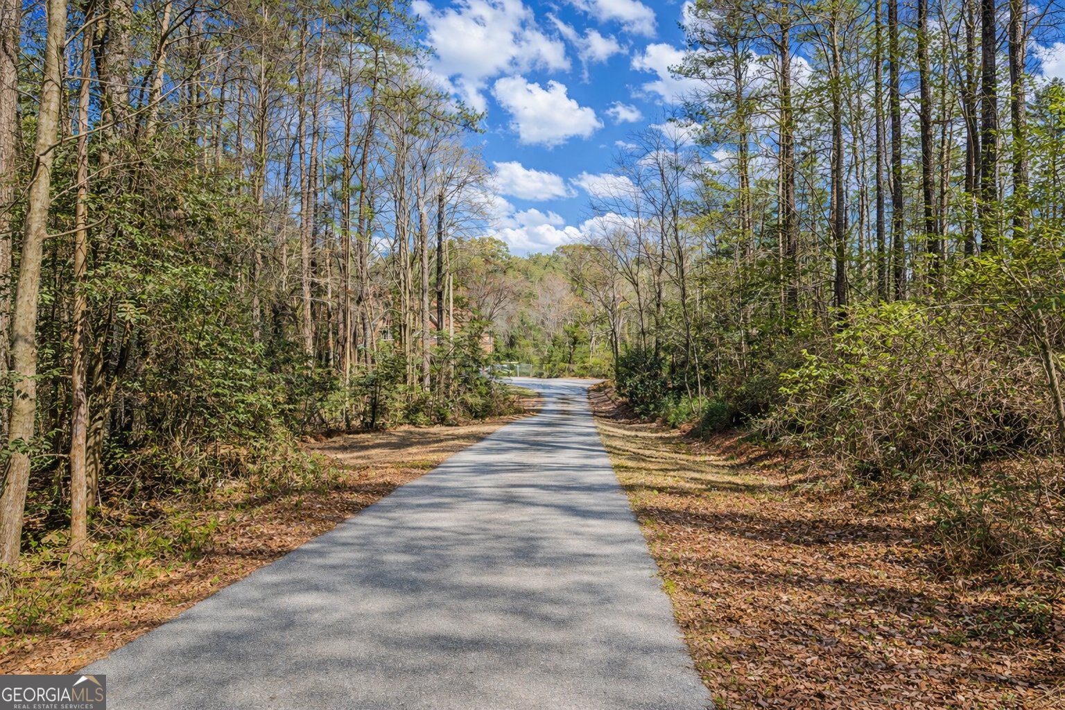 3420 Callie Still Road Lawrenceville - Photo 54