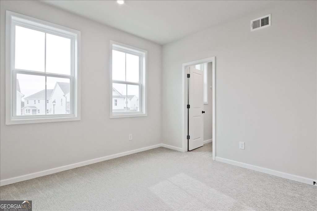 4182 Adler Circle Buford - Photo 46