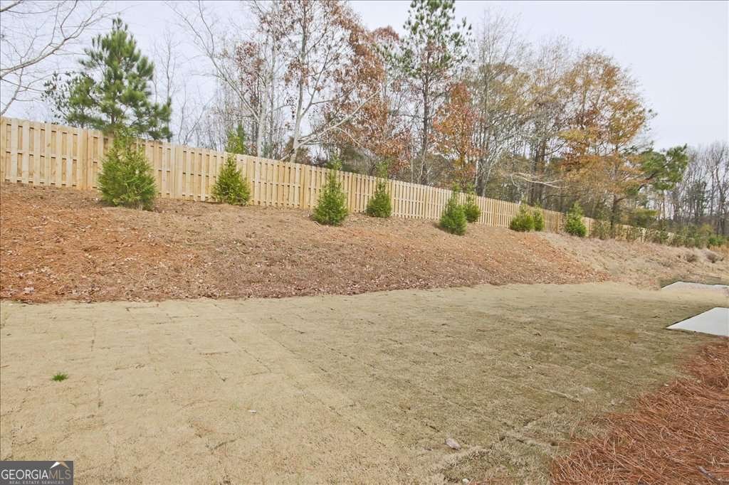 4182 Adler Circle Buford - Photo 55