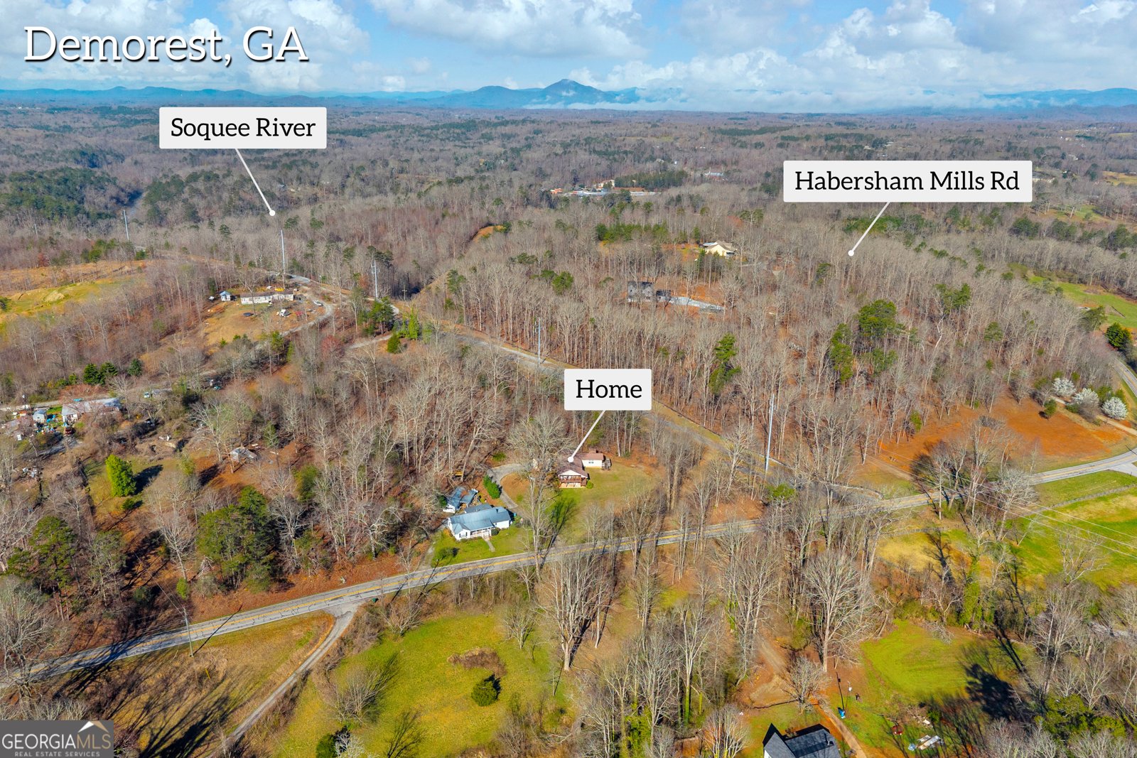 1266 Habersham Mills Road Demorest - Photo 31