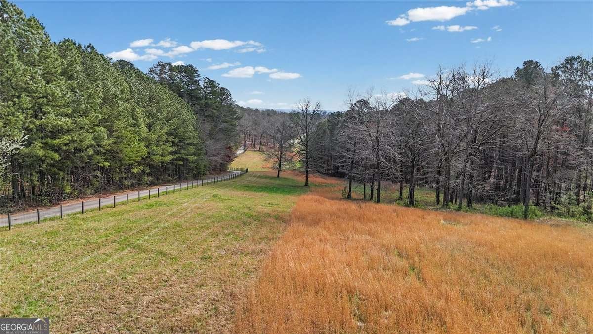 395 Heard Road Canton - Photo 92