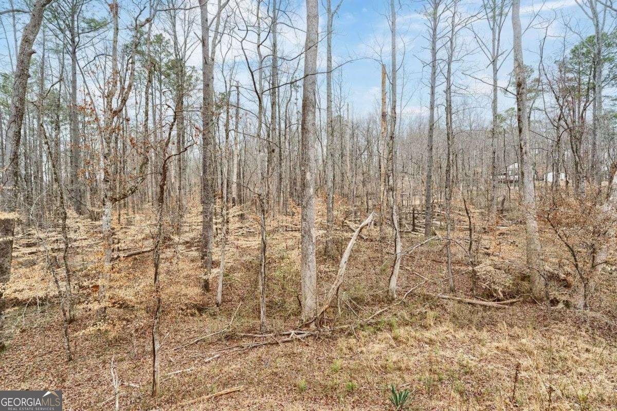 555 Lower Birmingham Road Canton - Photo 25