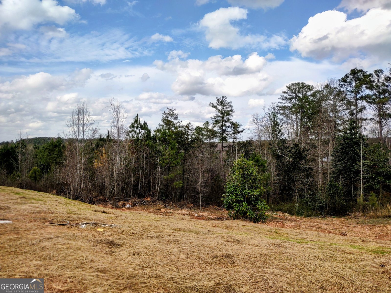 298 Connecticut Avenue Tallapoosa - Photo 7